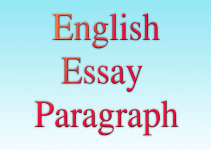 English-Essay-Paragraph-Logo