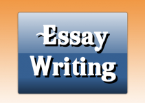 essay on my role model for class 8 essay on my role model for class 8