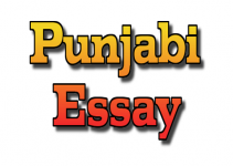 Punjabi-Essay