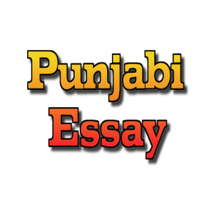 essay on market in punjabi