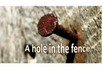 A Hole in The Fence