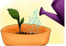 Be Careful What You Plant