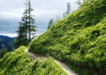 MOUNTAIN STORY