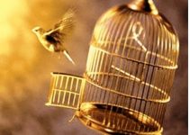 THE CAGE BIRDS ESCAPE