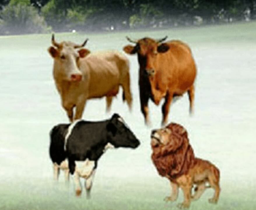 The Three Cows