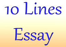 10-Lines-Essay